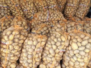 Vendemos uvas frescas de calidad contáctenos directamente por correo