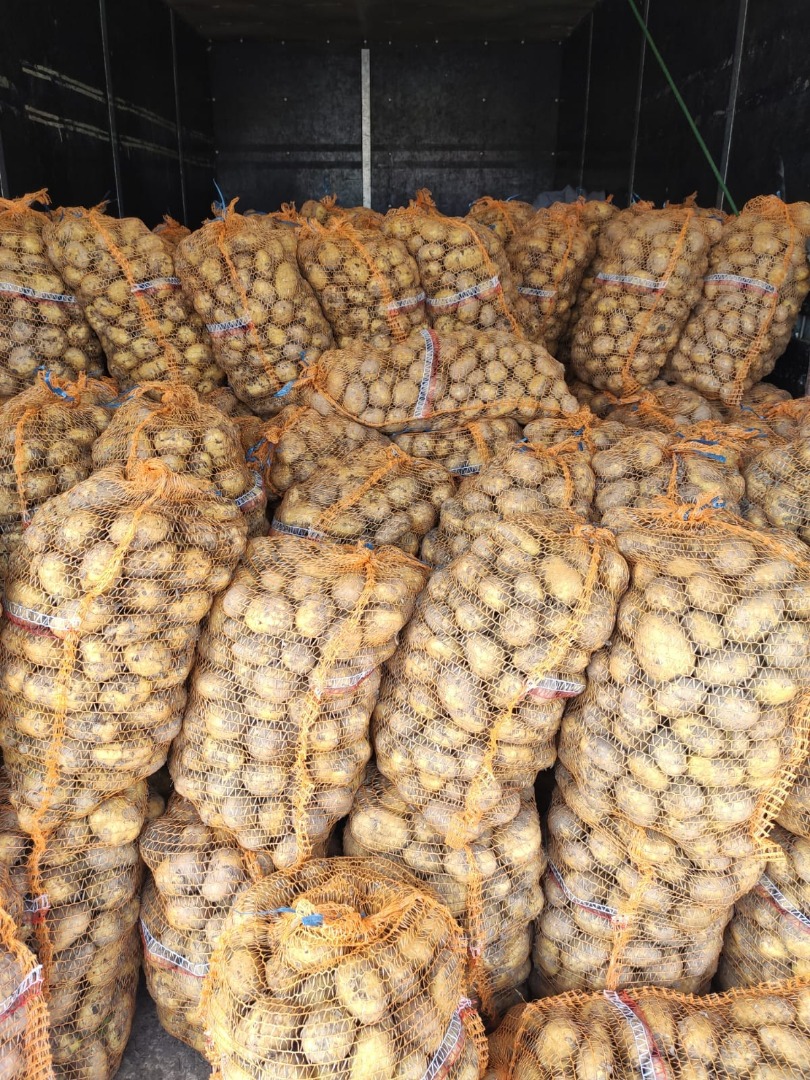 Vendemos uvas frescas de calidad contáctenos directamente por correo electrónico para obtener más detalles