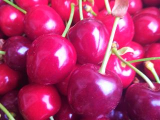 Venderé cerezas, mis propias colecciones, arrancadas, para pedidos. Fruta