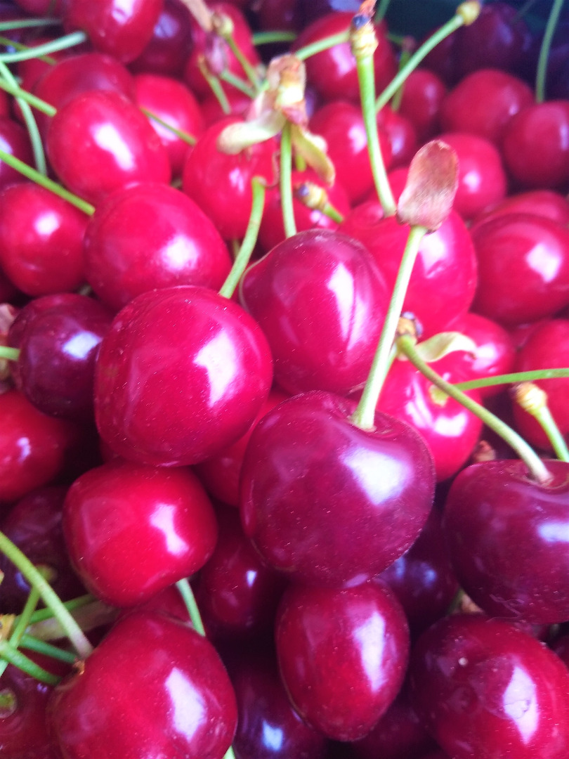 Venderé cerezas, mis propias colecciones, arrancadas, para pedidos