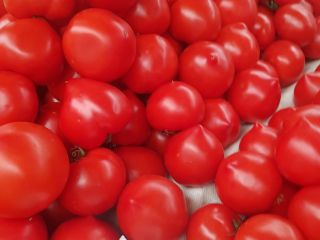 Estoy vendiendo tomates frescos