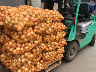 Vendemos cebollas jóvenes, importadas de Uzbekistán. Calibre 5+. Calidad