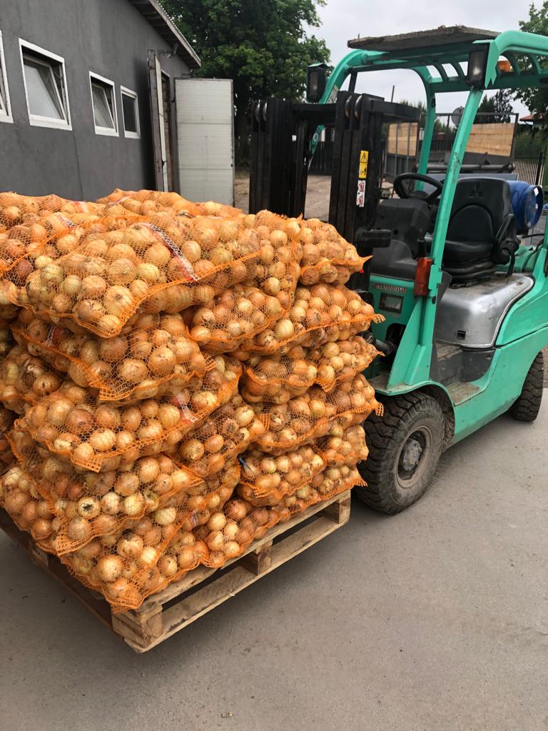 Vendemos cebollas jóvenes, importadas de Uzbekistán