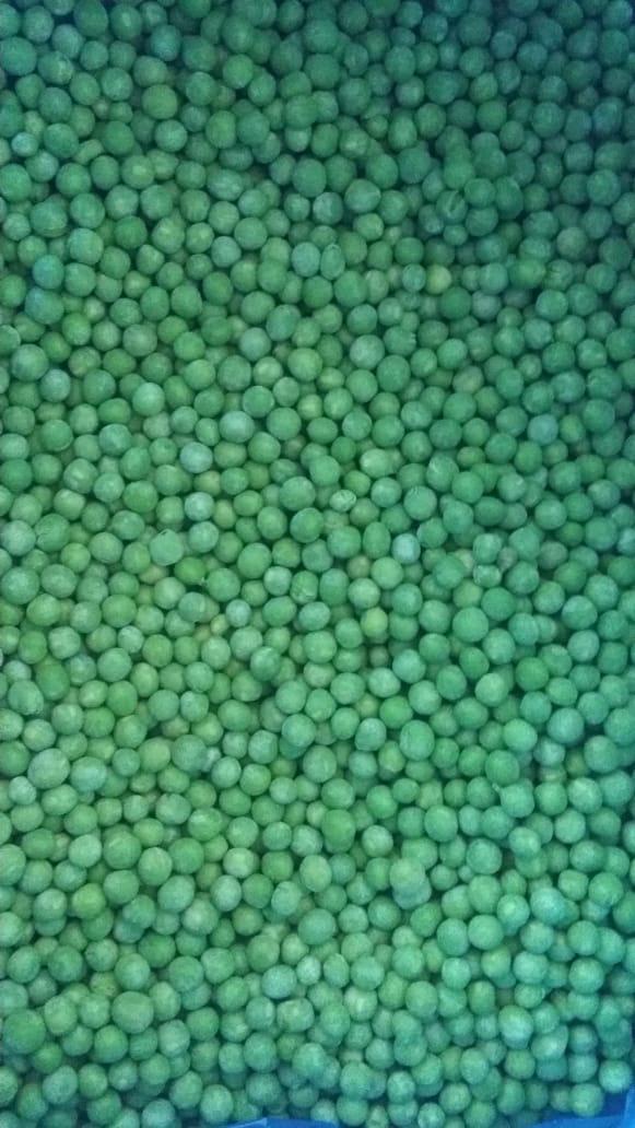 Vendemos guisantes de primera clase de Egipto en varias cantidades en un contenedor de 10 kg, capacidad de contenedor de 25 toneladas por contenedor de 40 pies
