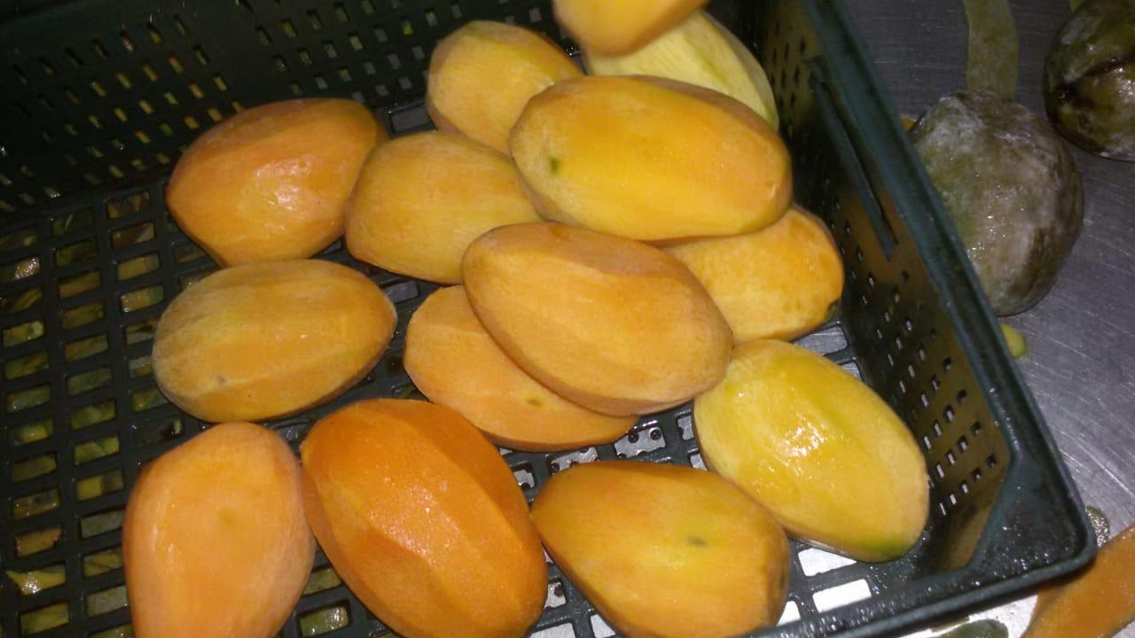 Vendemos mangos de Egipto de la más alta calidad en varias cantidades en un contenedor de 10 kg, capacidad de contenedor de 25 toneladas por contenedor de 40