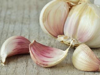 El mejor precio del ajo natural fresco: nueva cosecha,
