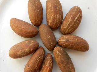 La kola amarga es una semilla comestible, que pertenece