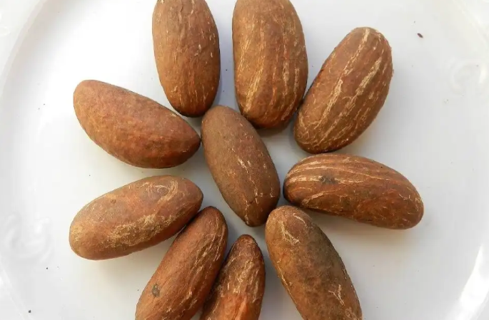 La kola amarga es una semilla comestible, que pertenece a un grupo único de plantas que ayudan a los organismos a adaptarse al estrés al influir en múltiples