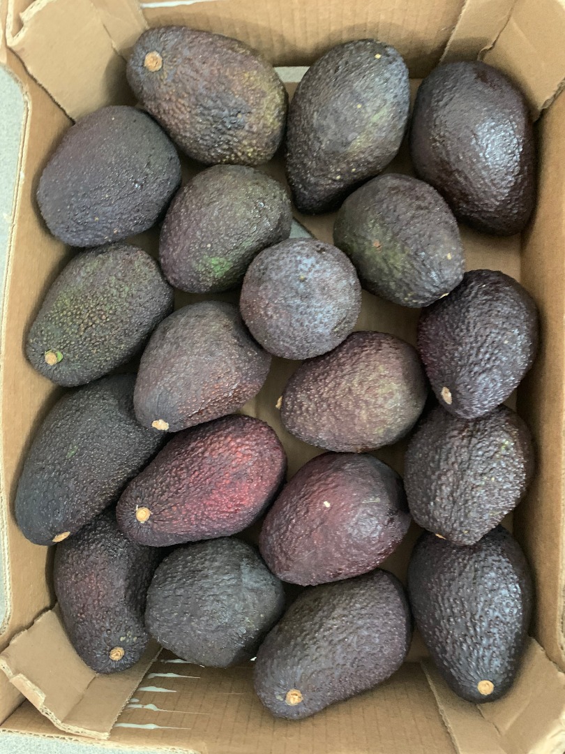 Aguacate HASS en venta minorista / mayorista