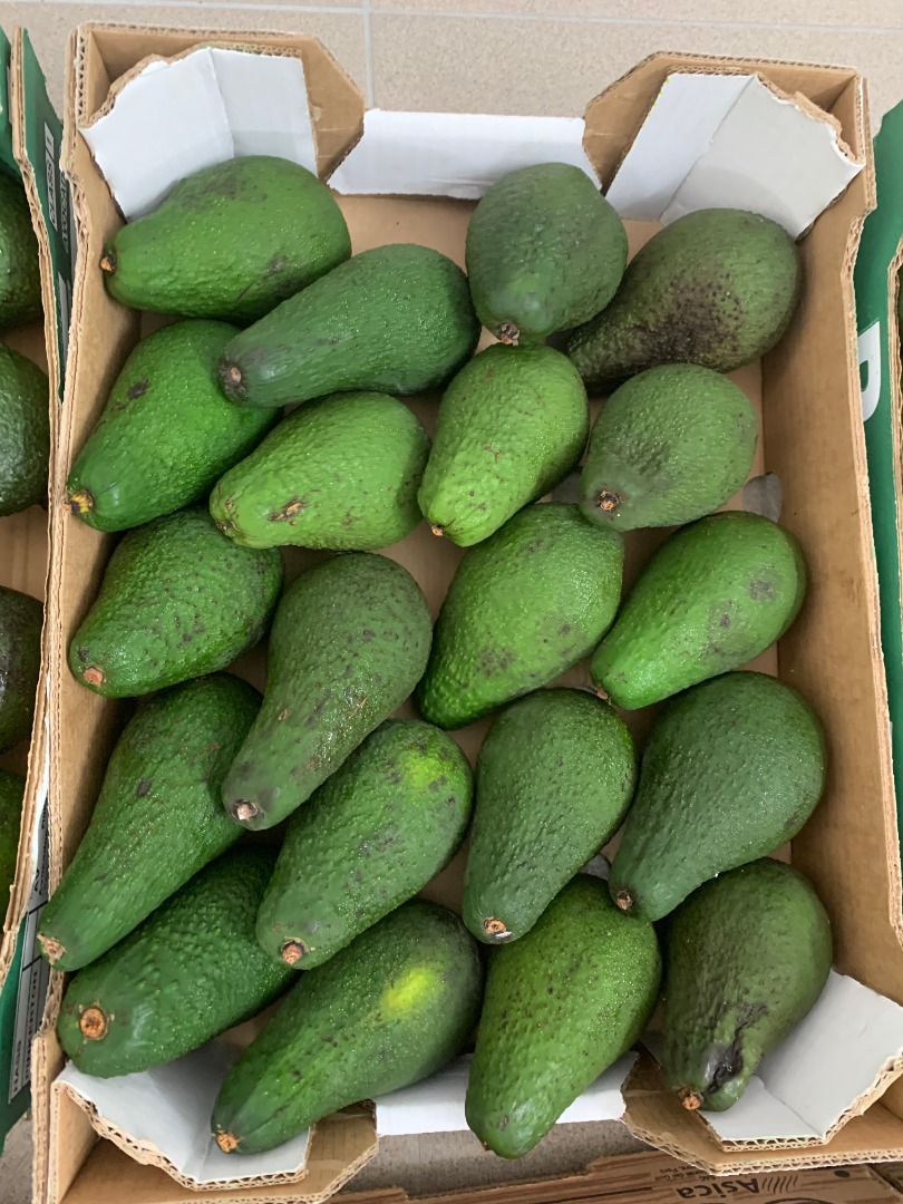 Aguacates Zielone en venta minorista / mayorista