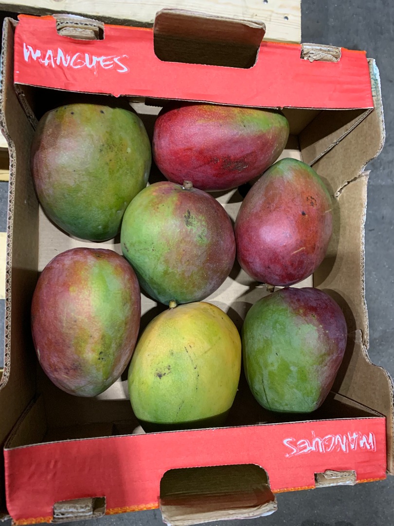 MANGO en venta minorista / mayorista