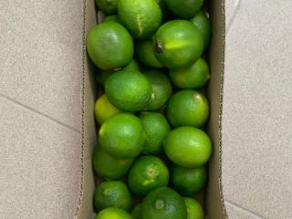 Cal en venta al por menor / al por