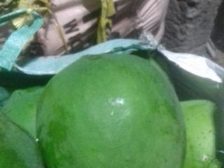 Quiero vender papaya fresca de la INDIA. póngase en