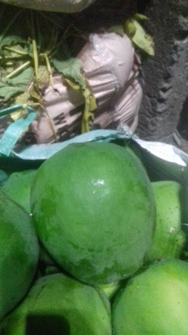 Quiero vender papaya fresca de la INDIA