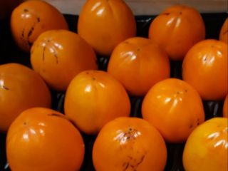 El productor español vende NARANJAS, TANGERINAS, SANDÍAS, PATATAS TEMPRANAS,