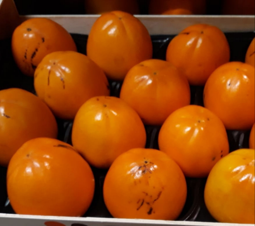 El productor español vende NARANJAS, TANGERINAS, SANDÍAS, PATATAS TEMPRANAS, VERDURAS, LIMÓN, PERSSIMONS, ALBARICOQUES, PARAGUAYOS, PLATERINAS, MELOCOTONES