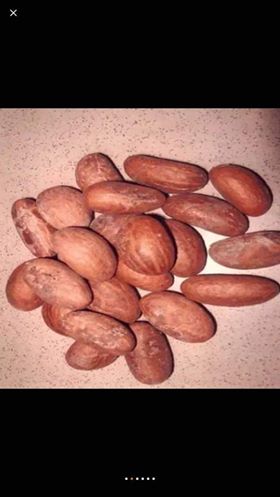 Soy un vendedor de Bitter Kola