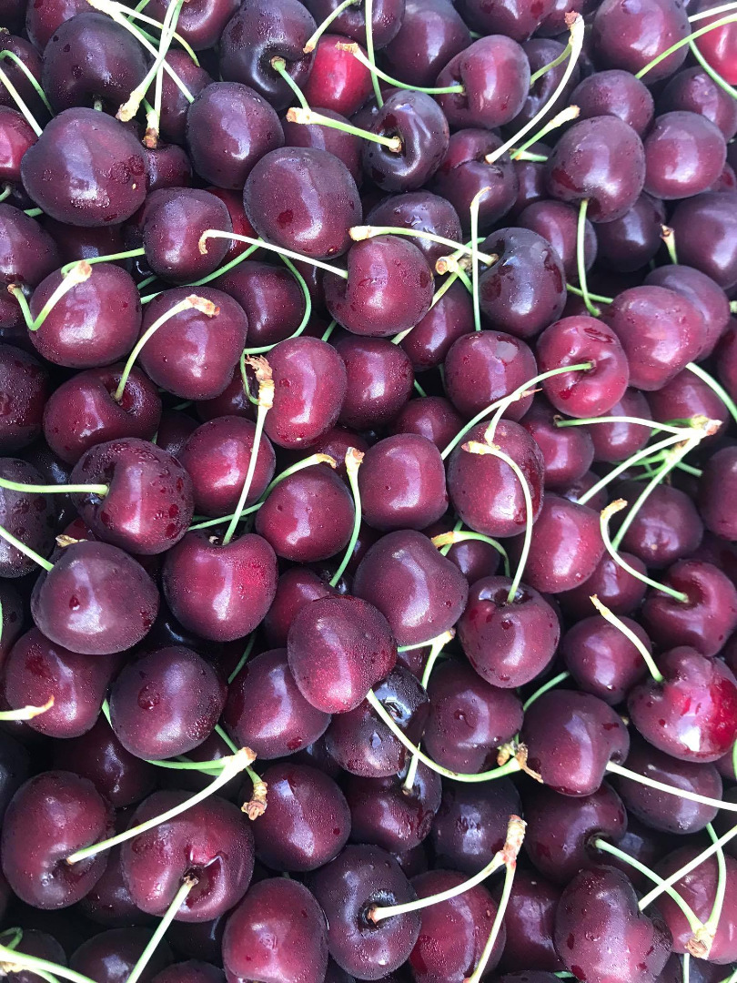 Cerezas griegas, Kordia