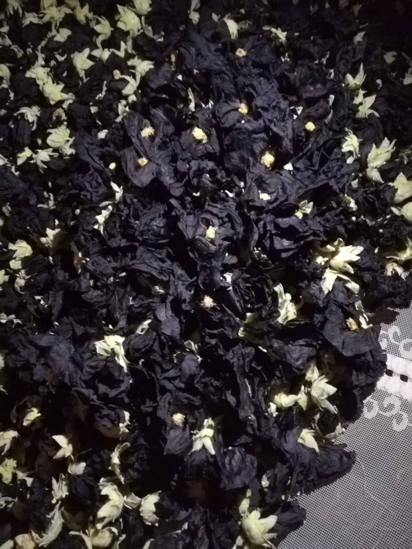 Venderé una flor de malva negra seca