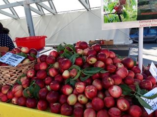 Productor privado que vende nectarina maravillosa, aroma único (como