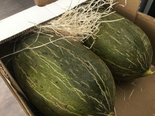 ¡Hola! ¡Ofrezco frutas y verduras al por mayor de