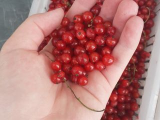 Damas y caballeros, tengo a la venta el producto