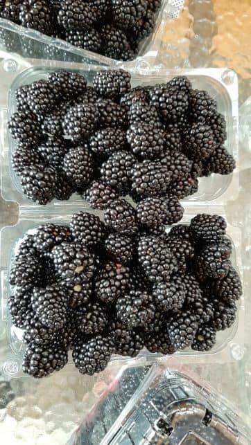 Blackberry creciendo directamente del productor