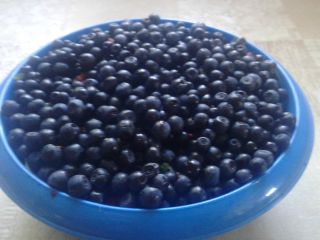 El bosque Berry es muy sabroso.
