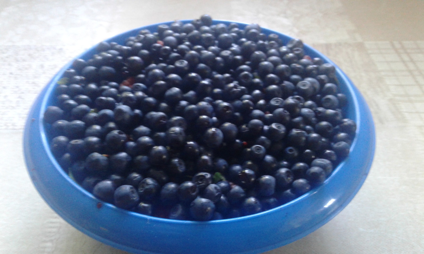 El bosque Berry es muy sabroso