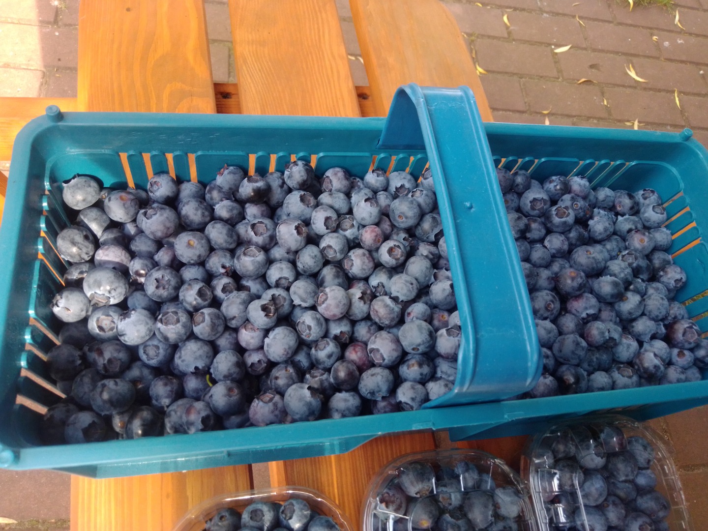 Hola, vendo fruta de arándanos de una nueva plantación