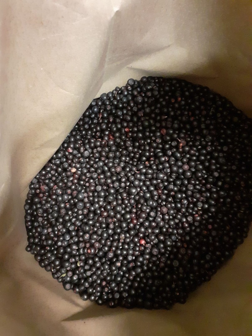 Venderé arándanos azules congelados y limpios de Bielorrusia en paquetes de papel de 25 kg