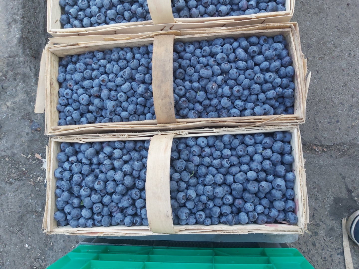 Venderé arándanos de mi propio cultivo