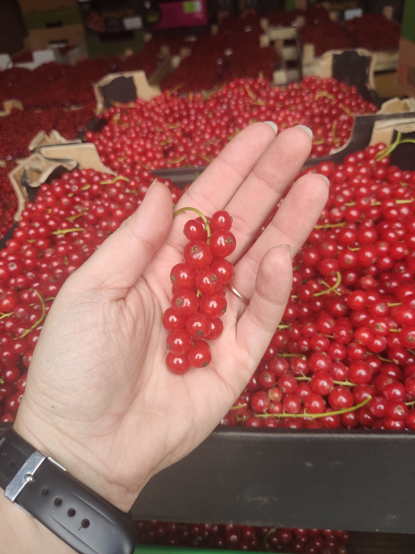 Venderé una grosella roja de postre