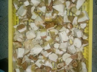 Oferta de hongos porcini congelados - entero, primera clase,