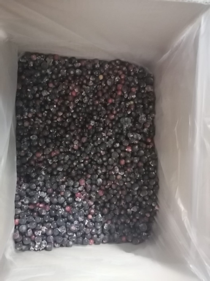 Venderé grosellas negras de Bielorrusia, congeladas, limpiadas mecánicamente