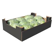 we are a company that distributes fruits and vegetables in Saudi Arabia -Jeddah We are interested in buying Iceberg Lettuce and forming a long-term business
