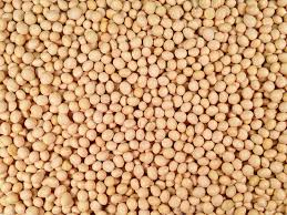 Somos exportadores de soja, alimentos y bebidas