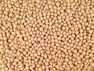 Nuestra soja tiene las ventajas obvias, se obtiene de