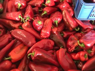 Pimiento rojo industrial. Se adjunta foto original. Tenemos nuestro