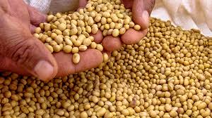 Somos exportadores de soja, alimentos y bebidas