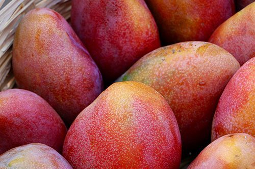 mango (todos los tipos disponibles para exportación), para obtener más información, comuníquese conmigo (ms / marehan): Llame y whats-app