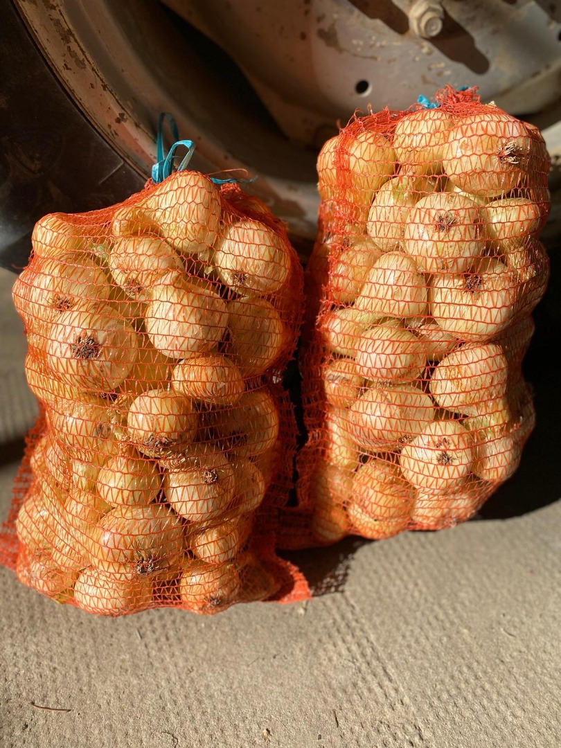 Vendo cebollas blancas y rojas