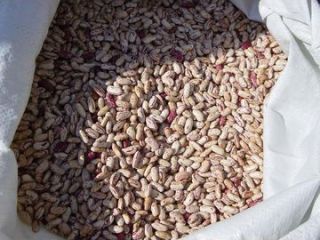 Nombre del producto Frijoles rojos manchados ligeros Tamaño 180-200,