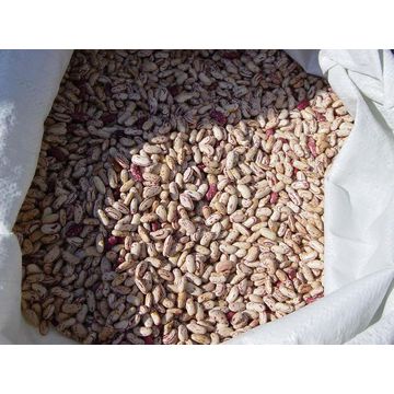 Nombre del producto Frijoles rojos manchados ligeros Tamaño 180-200, 200-220, 220-240 / g, etc.Embalaje Bolsa de plástico tejida de 25/50 kg Humedad 16% máx