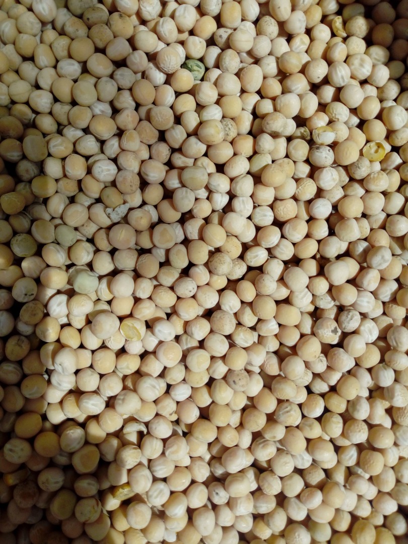 Venta de guisantes patrocinio, uso general