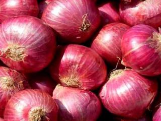 tenemos cosecha fresca de cebolla roja y amarilla, Calibre: