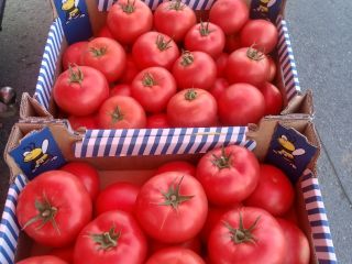 Hola, vendo tomate frambuesa 1 categoría BBB. CAMA Y
