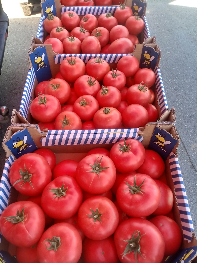 Hola, vendo tomate frambuesa 1 categoría BBB
