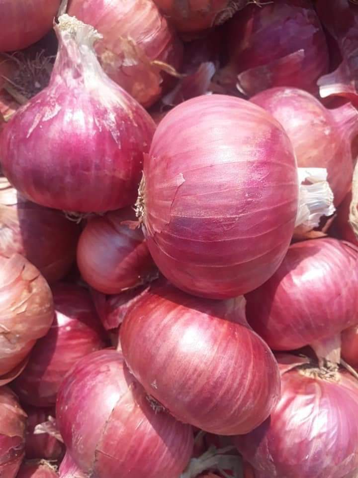 vendemos los siguientes productos agrícolas: aceite de girasol, anacardos, almendras, nueces, maíz amarillo y blanco, cardamomo verde, frijol mungo verde