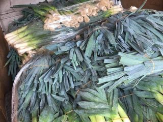 Puerro a la venta